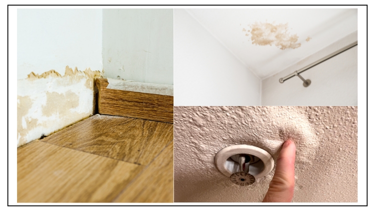 https://handymanconnection.com/saskatoon/wp-content/uploads/sites/45/2025/11/How-to-Spot-and-Repair-Water-Damage-in-Your-Home.jpg