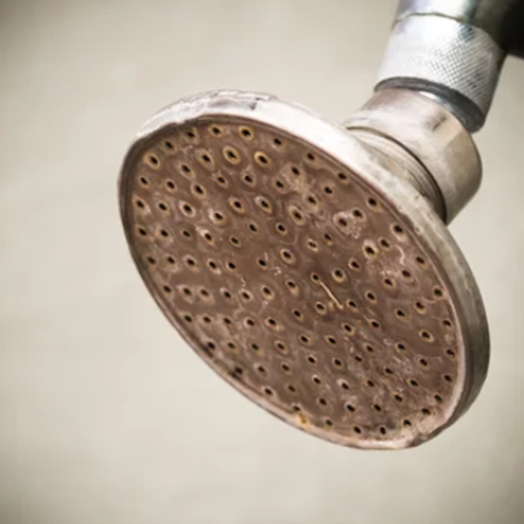 Is It Time To Replace Your Shower Head