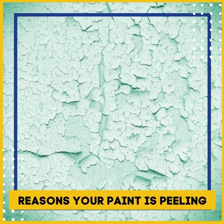 4 reasons you paint is peeling