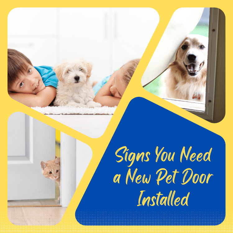 Signs You Need a New Pet Door Installed