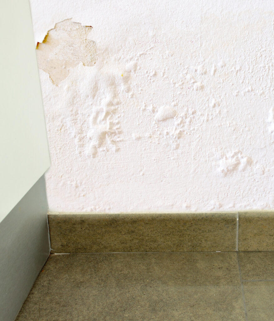 Bubbling or Peeling Paint