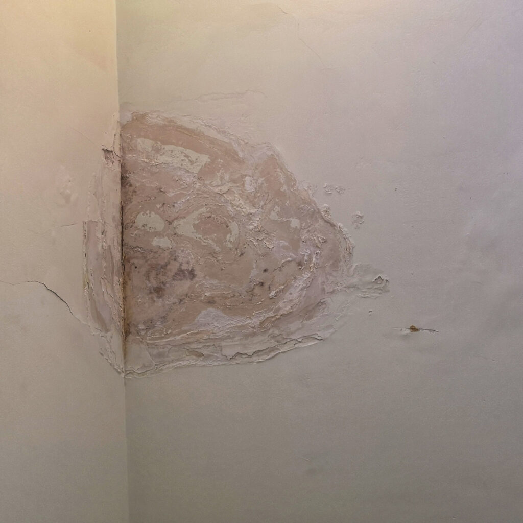 How to Prevent Water Damage