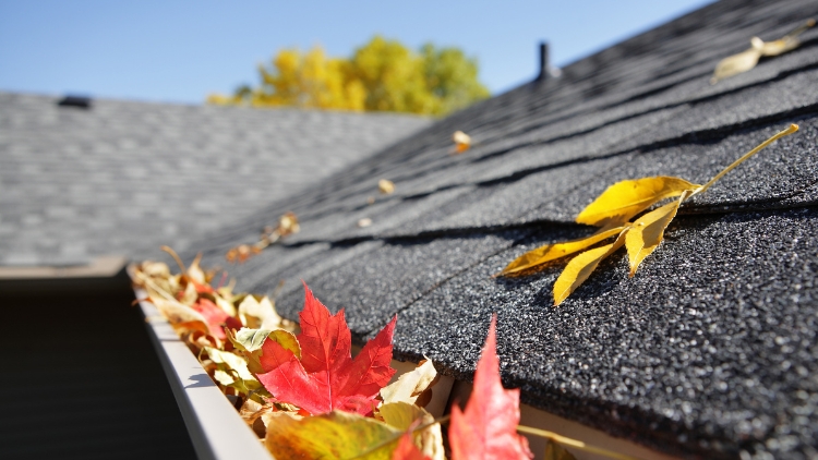 Keep Your Gutters Flowing and Functional