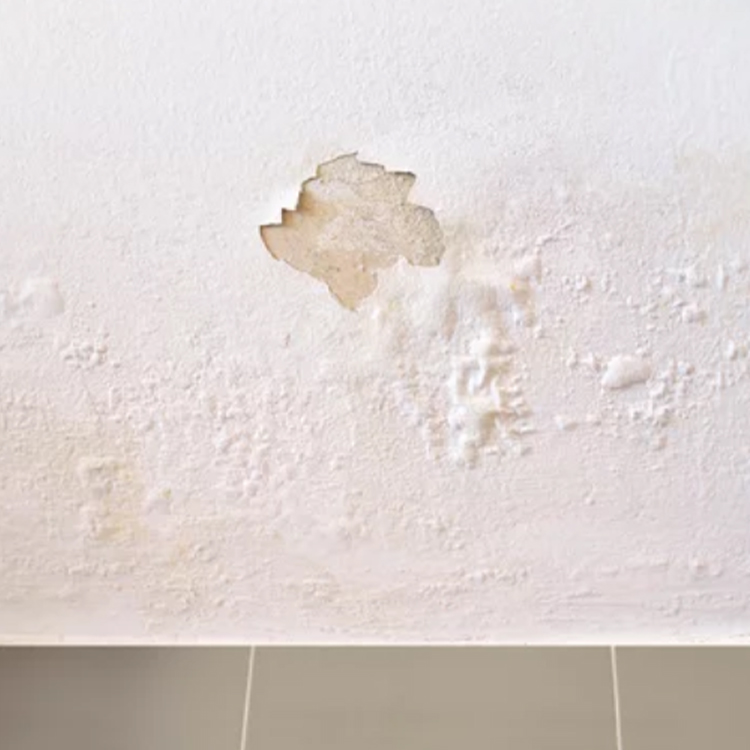 https://handymanconnection.com/vaughan/wp-content/uploads/sites/51/2021/08/Why-Replace-Your-Drywall-After-Moisture-Damage.jpg