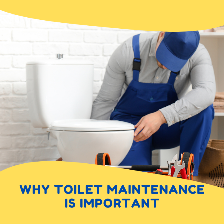 Toilet maintenance is important