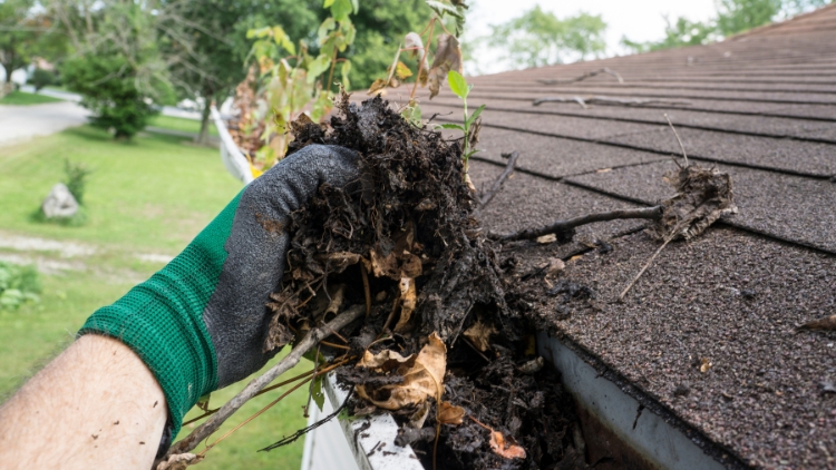 The Advantages of Entrusting Your Eavestroughs to the Experts