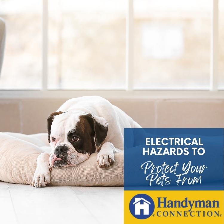 https://handymanconnection.com/victoria/wp-content/uploads/sites/52/2022/11/Victoria-Electrician-4-Electrical-Hazards-to-Protect-Your-Pets-From.jpg