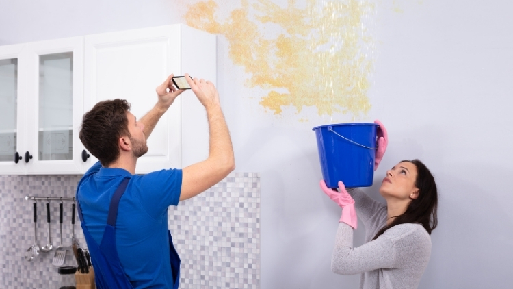 Signs That You Need Plumbing Repairs