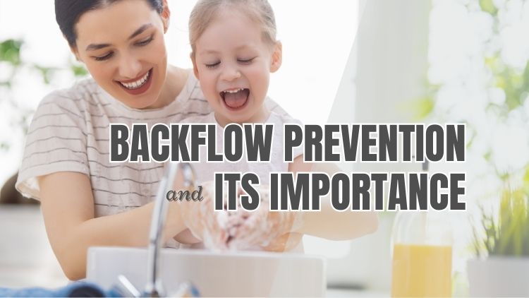 https://handymanconnection.com/victoria/wp-content/uploads/sites/52/2024/10/Backflow-Prevention.jpg