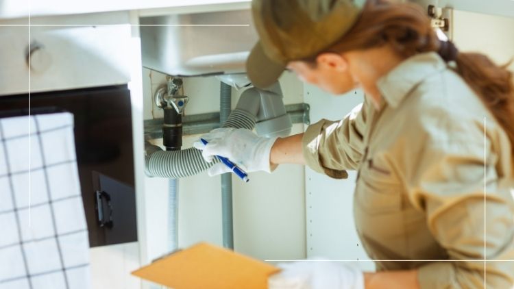 Is Your Kitchen Layout Changing? What Plumbing Work Should You Expect?