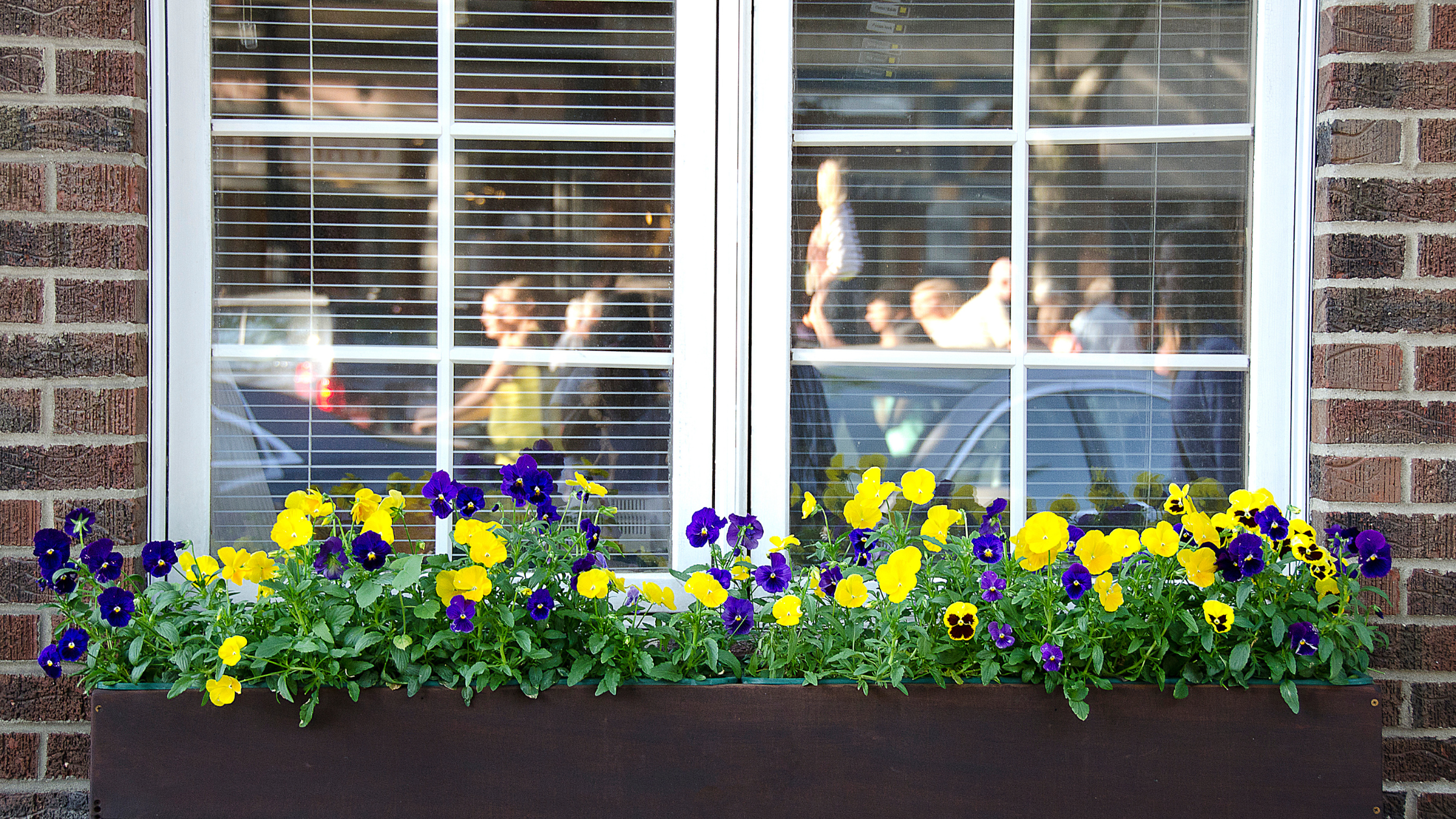 window box