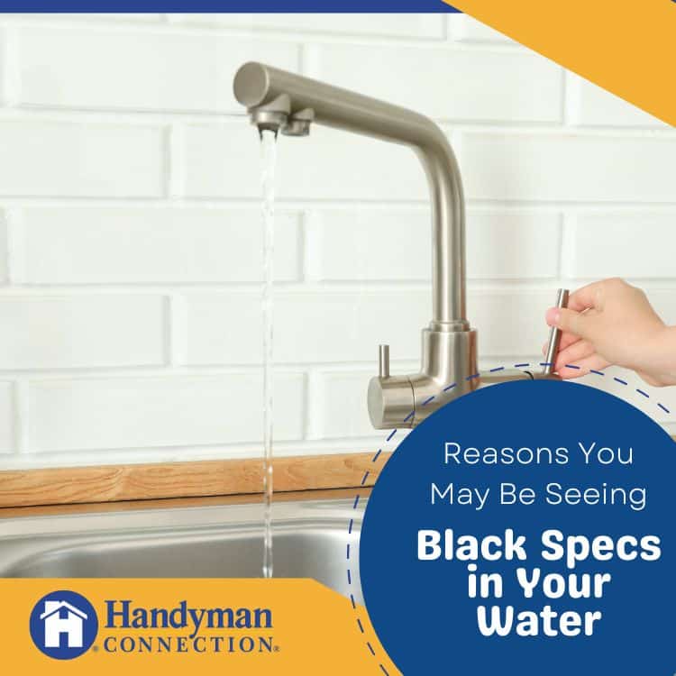 Reasons you may be seeing black specs in your water