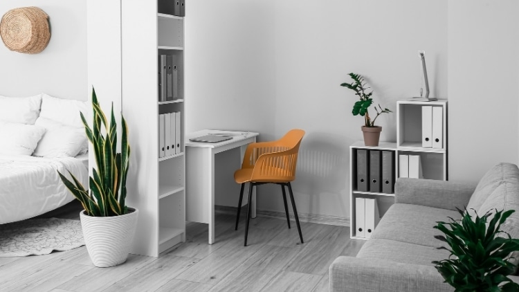 floor-to-ceiling bookshelf built against a wall