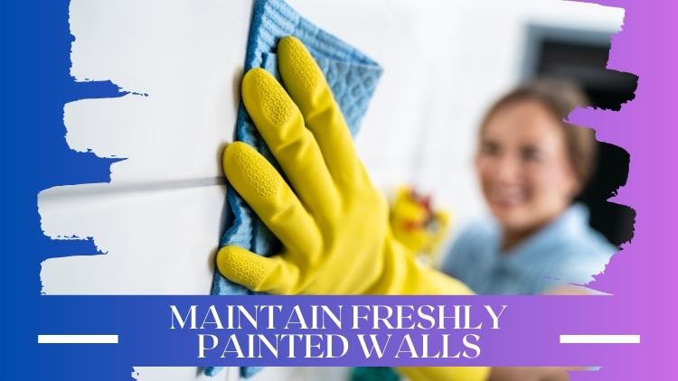 Winnipeg Handyman: How to Maintain Freshly Painted Walls