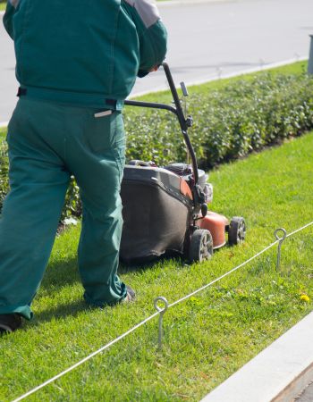 Landscaping and Lawn Care