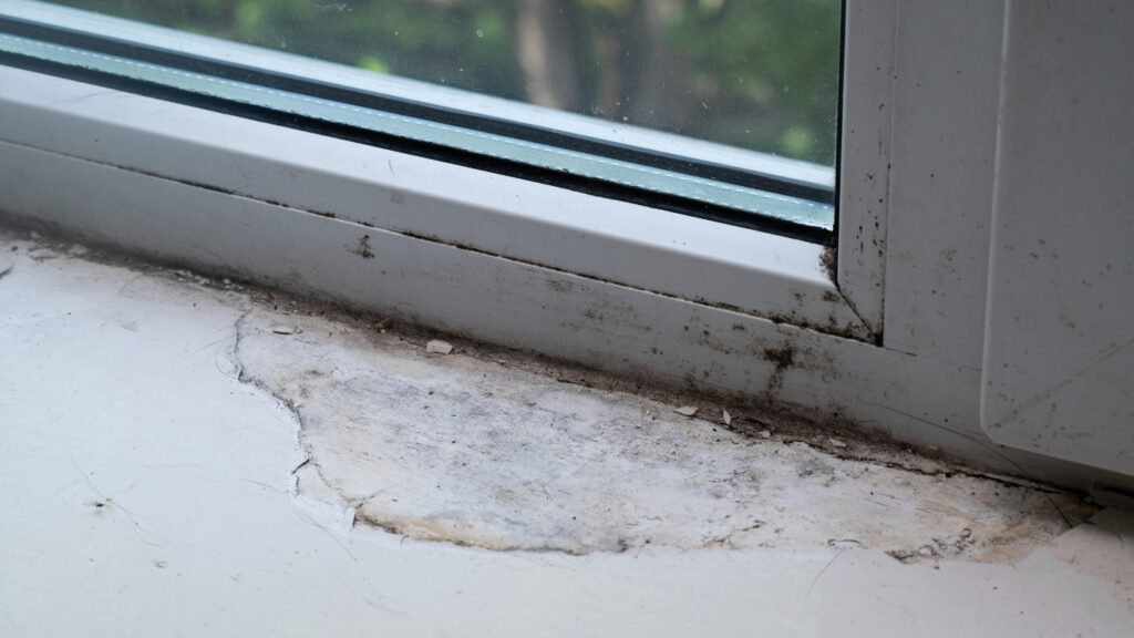 Your Windows Look Outdated or Worn