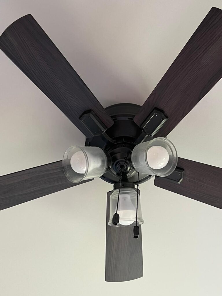 electric ceiling fan installed by our craftsmen with lighting