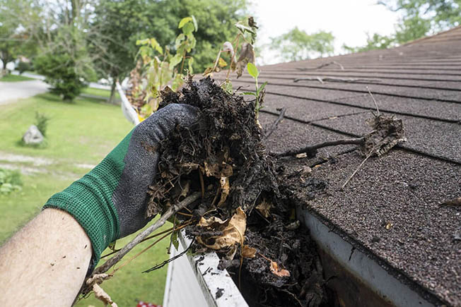 https://handymanconnection.com/wp-content/uploads/2021/05/bigstock-Worker-Cleaning-Gutters-For-A-98897165.jpg