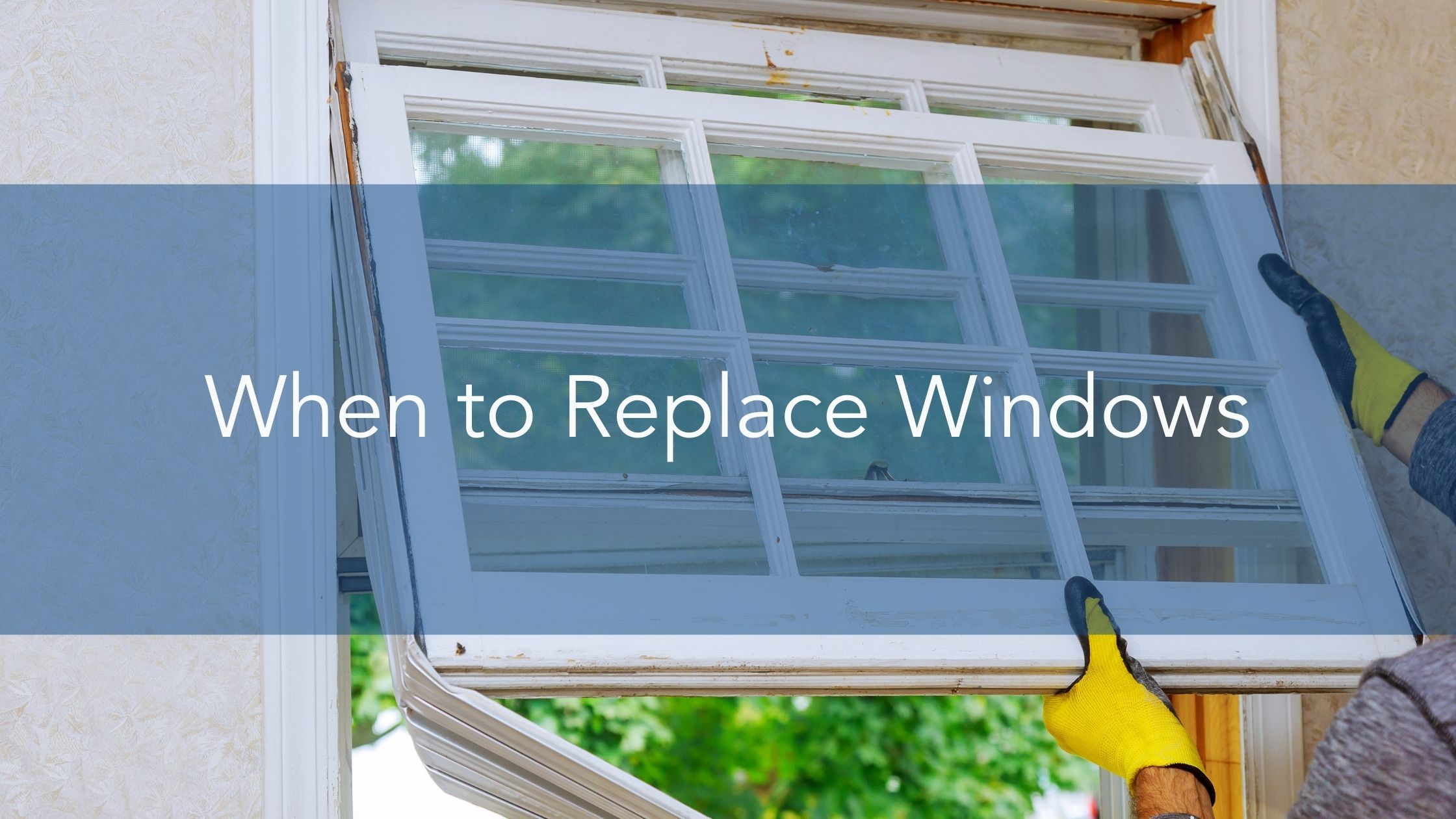 When to Replace Windows