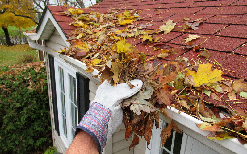 handyman from Handyman Connection cleaning gutters for fall